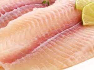 BASA FILLET