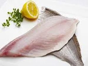 CORAL BREAM FILLET