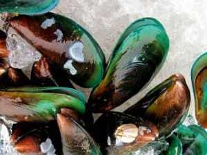 GREEN LIPPED MUSSELS