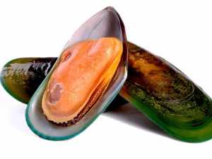NZ HALF SHELL MUSSELS