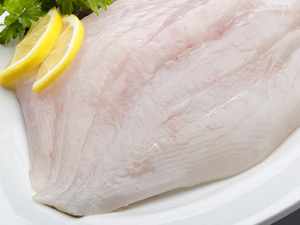 JOHN DORY FILLET