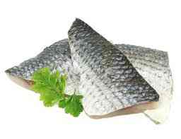 MULLET FILLET