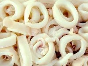 PRECUT SQUID RINGS
