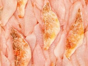 SAND PERCH FILLET