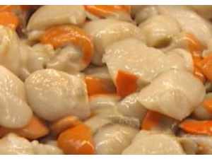 SQUID/ROE/SCALLOPS
