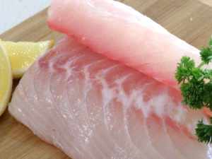 RED EMPEROR FILLET