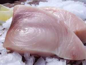SWORD FISH FILLET